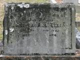 image of grave number 916837